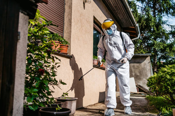 Pest Prevention Services in Dilworthtown, PA