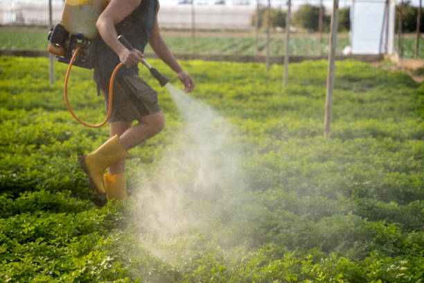 Best Ant Control Services  in Dilworthtown, PA