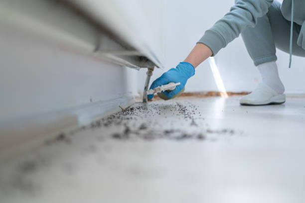 Insect Control in Dilworthtown, PA
